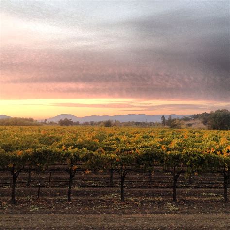 Sunset In Napa Valley Looking North At Mt St Helena Natural