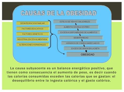 Obesidad La Enfermedad Del Siglo Xxi Ppt