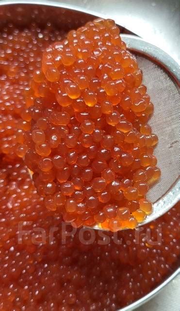 Красная икра оптом и в розницу от 1 кг, под заказ. Цена: 2 000₽ во ...