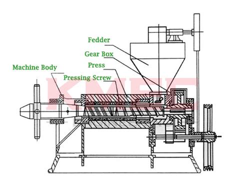 What Is The Operating Principle And Structure Of An Oil Press