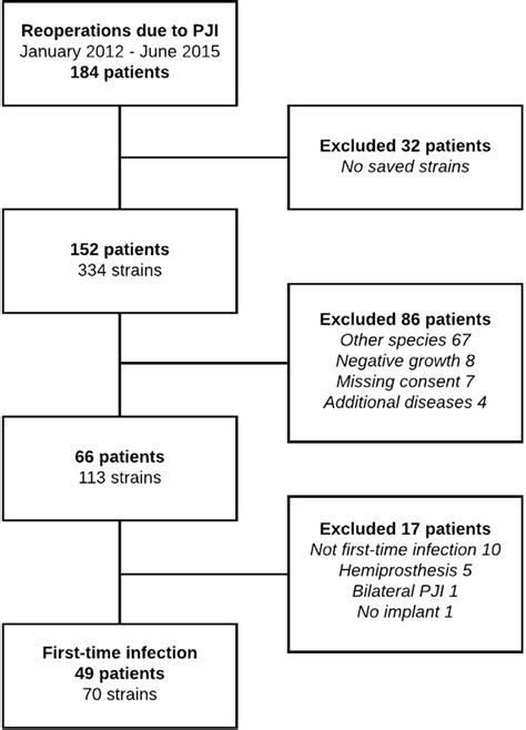 Flow Diagram Of Patient Inclusion Download Scientific Diagram