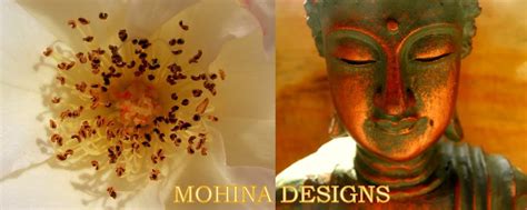 mohina designs quest  design passion  photographyjournal