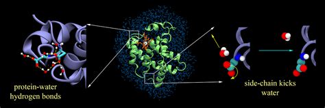 Indian Institute of Science