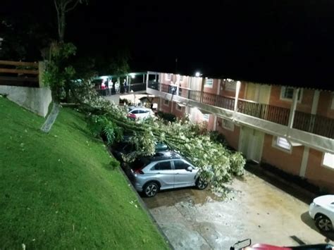 Chuva Derruba árvores E Causas Estragos Em Poços