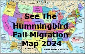 Hummingbird Fall Migration Map 2024 Updated Hourly With Sightings