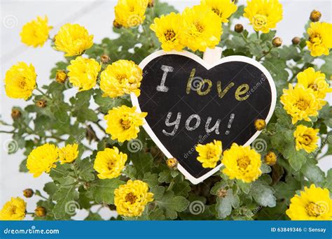 I Love You - Bouquet of Flowers with a Heart Message Card Stock Photo - Image of background ...