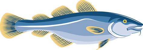 Cod Fish Clipart at GetDrawings | Free download