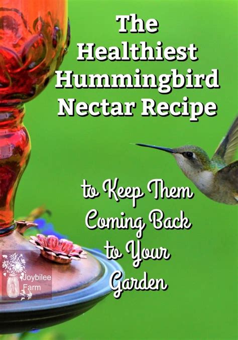 The Healthiest Hummingbird Nectar Recipe So They'll Come Back Next Year