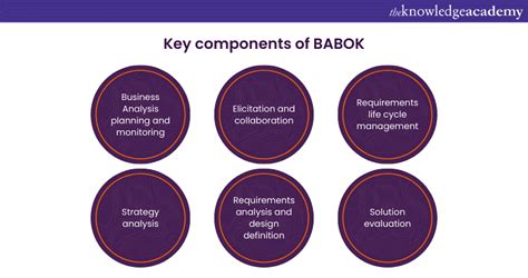 What Is Babok Business Analysis Body Of Knowledge Explained