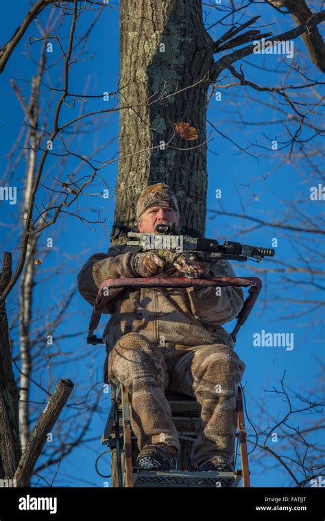 Art Hunting Tree Stands