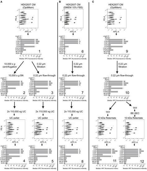 Systematic Methodological Evaluation Of A Multiplex Bead Based Flow