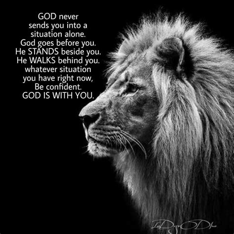 Inspirational Warrior Quotes Lion Quotes Life Quotes Riset