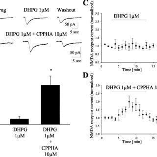 CPPHA Potentiates The Effect Of Low Subthreshold Doses Of DHPG On