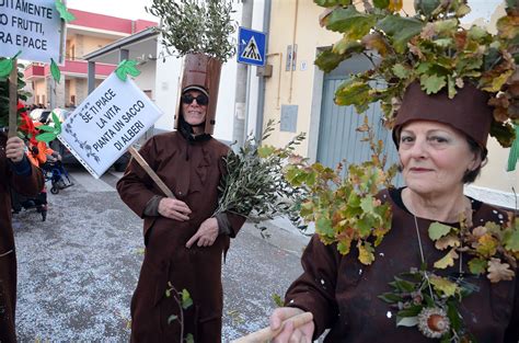 Volevo Trovare Un Difetto Al Carnevale Di Noha Noha It Il Portale