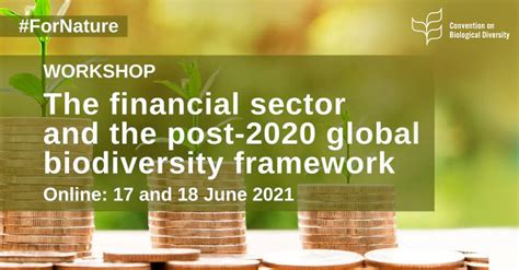 The Financial Sector And The Post 2020 Global Biodiversity Framework Green Finance Lac