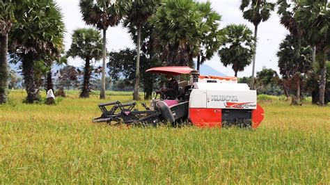 Excellent Cutting Machinery Working Skills Harvest Rice Kubota