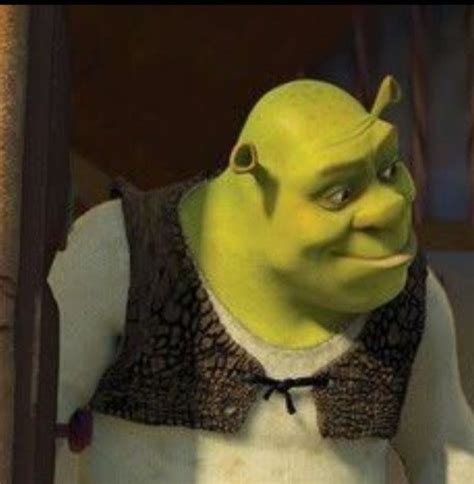 Shrek Pfp