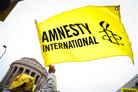 Amnesty International Report Brier Claudia