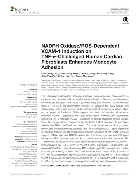 Pdf Nadph Oxidase Ros Dependent Vcam Induction On Tnf Challenged