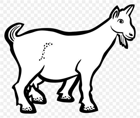 Boer Goat Line Art Drawing Clip Art Png 2400x2034px Boer Goat