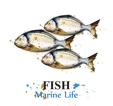 Premium Vector | Small fish watercolor