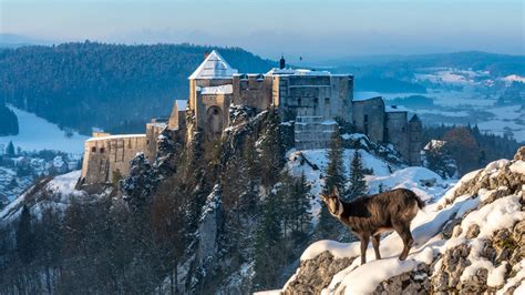 Home Chateau De Joux