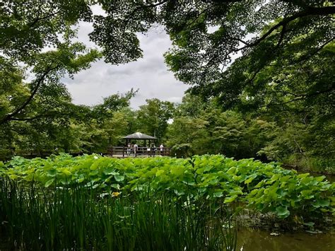 Kyoto Botanical Gardens - Inside Kyoto