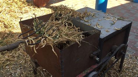 молотилка для фасоли - YouTube