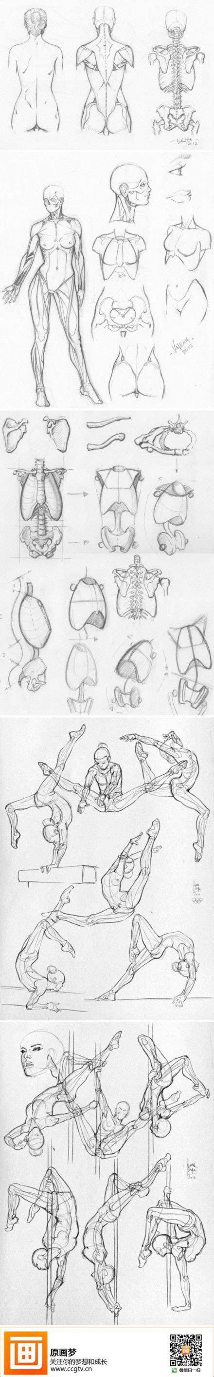 Guías de dibujo Anatomía y movimientos del cuerpo Sketches