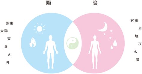 「陰と陽」はバランス関係 漢方の基本を学ぶ 【漢方の健伸堂薬局】