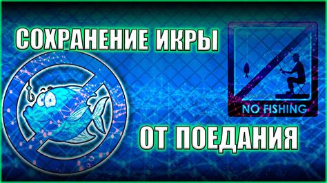 Сетка для нереста мелкой и крупной рыбешки. Нерест барбусов GloFish на ...