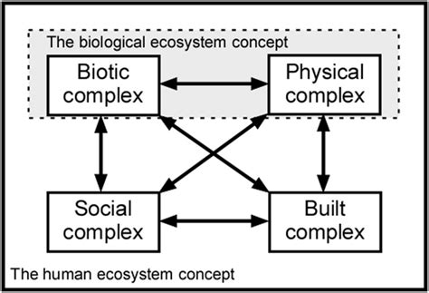 Bes Urban Lexicon Human Ecosystem