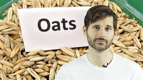 Rolled Oats Vs Steel Cut Oats Vs Instant Quick Oats Vs Oat Groats Types Of Oats Nutrition