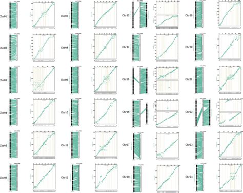 Frontiers A High Density Genetic Linkage Map And QTL Mapping For Sex