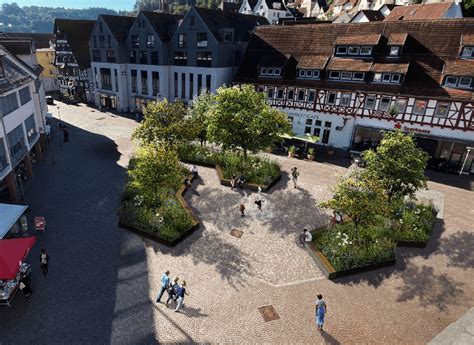 Stadt Calw erhält Bundesförderung für Projekt Grüne Stadt