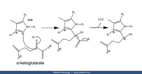 A Ketoglutarate