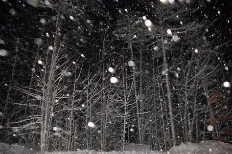 Views from the Dock: A Snowfall at Night