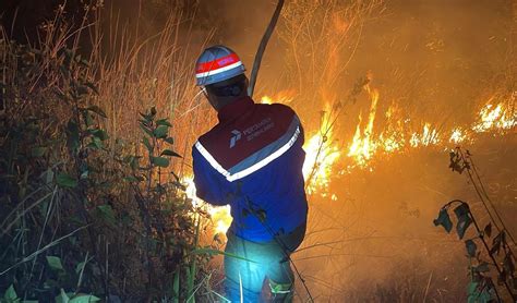 Hutan Gunung Guntur Kebakaran Ini Respon Cepat PGE Petrominer