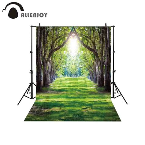 Allenjoy Fondos Para Estudio De Fotograf A T Nel De Bosque M Gico