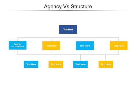 Agency Vs Structure Ppt Powerpoint Presentation Styles Guide Cpb