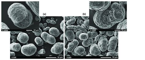 SEM Micrographs Of The PA12 Powders A The As Received Powder B