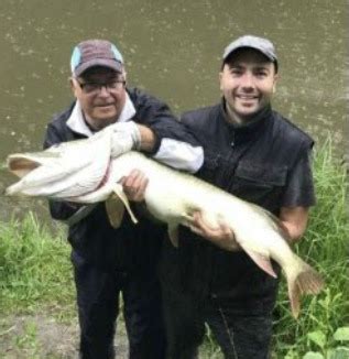 Brochet Record Les 20 Plus Gros Brochets De France