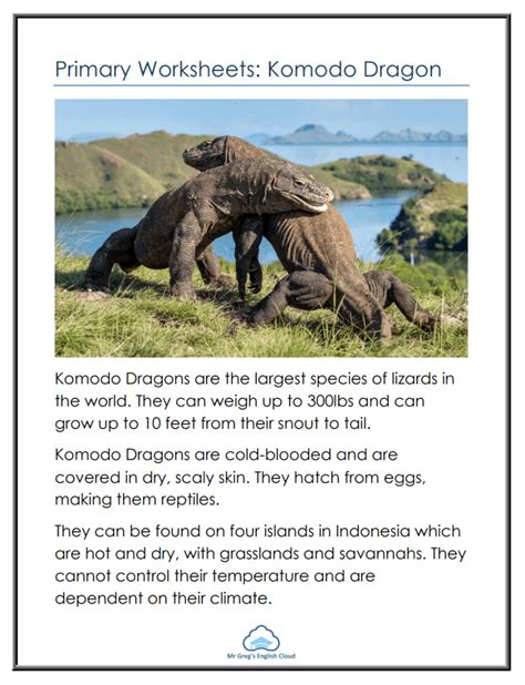 Primary Worksheets Komodo Dragon Mr Gregs English Cloud