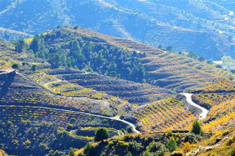 Priorat wine region. Ideas for a wine trip in Priorat