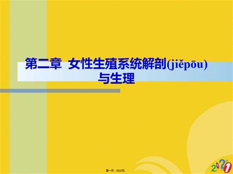 女性生殖系统解剖与生理全套ppt文档word文档在线阅读与下载无忧文档