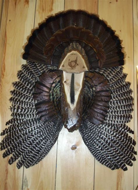 Springbrook Laser Engraving Hunting Turkeys Turkey Hunting Decor