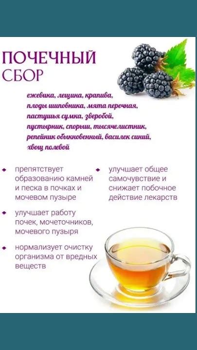 Почечный сбор #полезныесоветы #полезнознать #здоровье #польза - YouTube