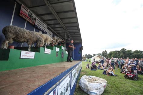 Best Photos From The Romsey Show Daily Echo