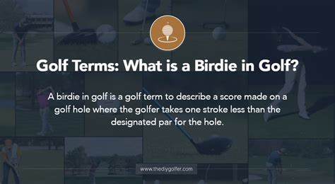 Golf Terms: What is a Birdie in Golf?