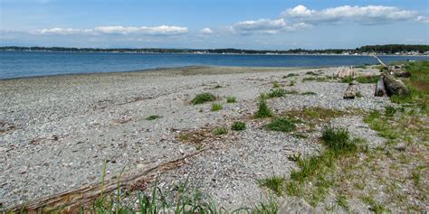 Birch Bay State Park Outdoor Project